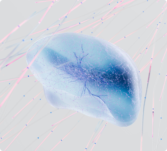 neuro photo